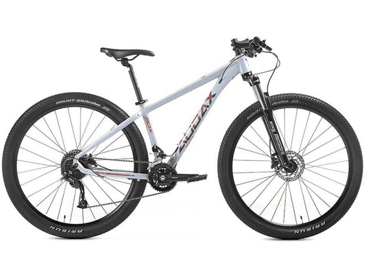 BICICLETA AUDAX ADX 100 CINZA T:M